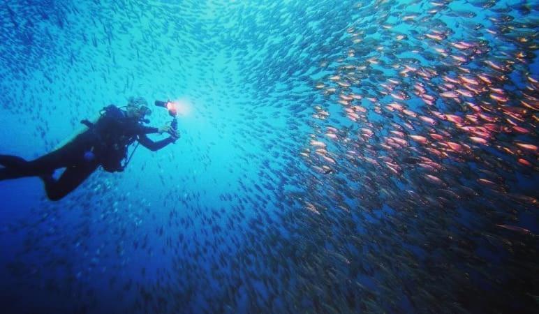 Love'S Beach & Dive Resort موالبوال المظهر الخارجي الصورة