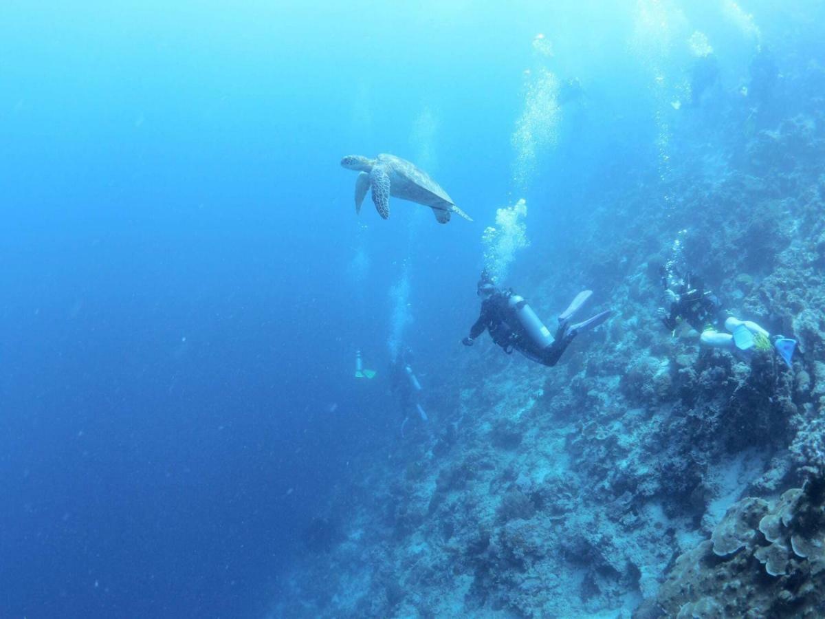 Love'S Beach & Dive Resort موالبوال المظهر الخارجي الصورة